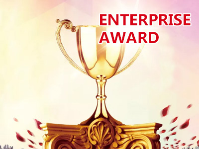 Enterprise Award